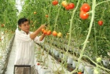Phát huy tiềm năng Đăng ký và nhận 60K 24 bao lì xì miễn phí mỗi ngày từ công nghệ cao